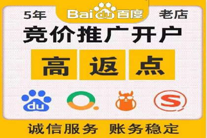 行业标杆：某信息流广告公司的成功投放策略